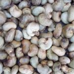 Raw Cashew Nuts