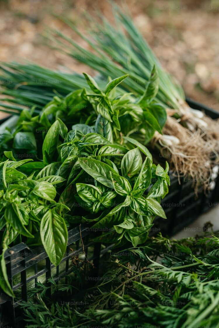Herbs