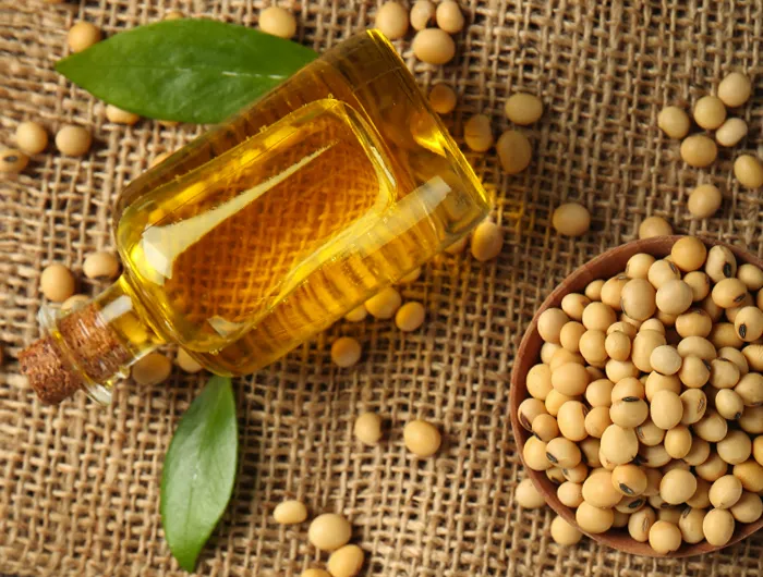 Oil Seeds